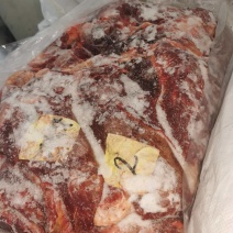 蒙古国马肉，冻品马肉精修，去油，超码带腱子四分体