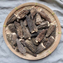 中号精品无柄羊肚菌食用菌批发代发送礼礼盒