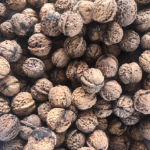 云南保山腾冲小麻茶核桃