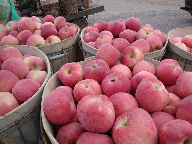 红星苹果与红香蕉苹果对比陈列