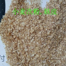 麸皮夫子麦皮麦子麦麸粉育肥饲料奶牛黄牛饲料