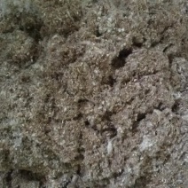 食用菌棉渣废棉渣子棉花下角料棉籽壳棉皮棉花壳