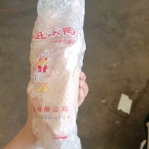 一级全净膛白条鸭850/900/950克