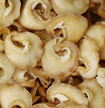 11头金勾鲍翅鱼翅翅针多足干批发代发送礼礼盒装