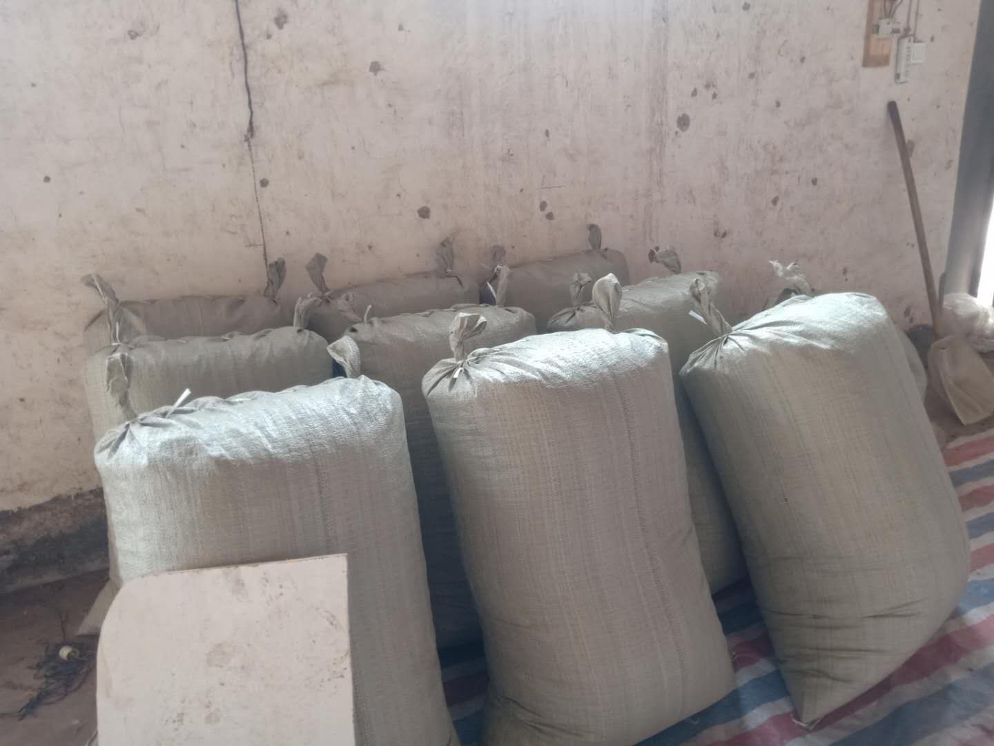 一处位于山西陵川县的青翘标准化育苗基地,整齐排列的育苗床覆盖黑色地膜,工人正在进行浇水作业,背景可见山地地形与防护林带 青翘育苗基地实景