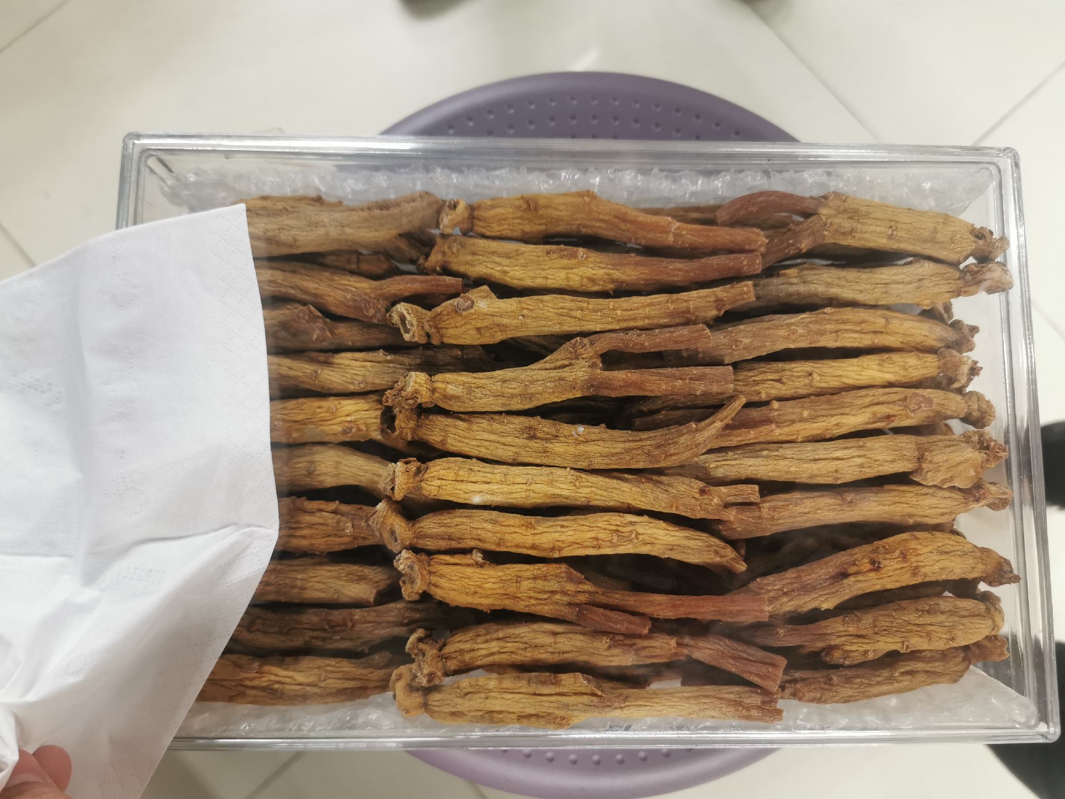 一张放大的高丽参元产品外包装盒,重点突出‘每支含人参皂苷Rg1+Rb1+Re共22.5mg’的文字区域,旁边附带一份实验室出具的第三方检测报告截图,显示各项指标合格,背景为白色实验台 高丽参元成分检测报告示意图