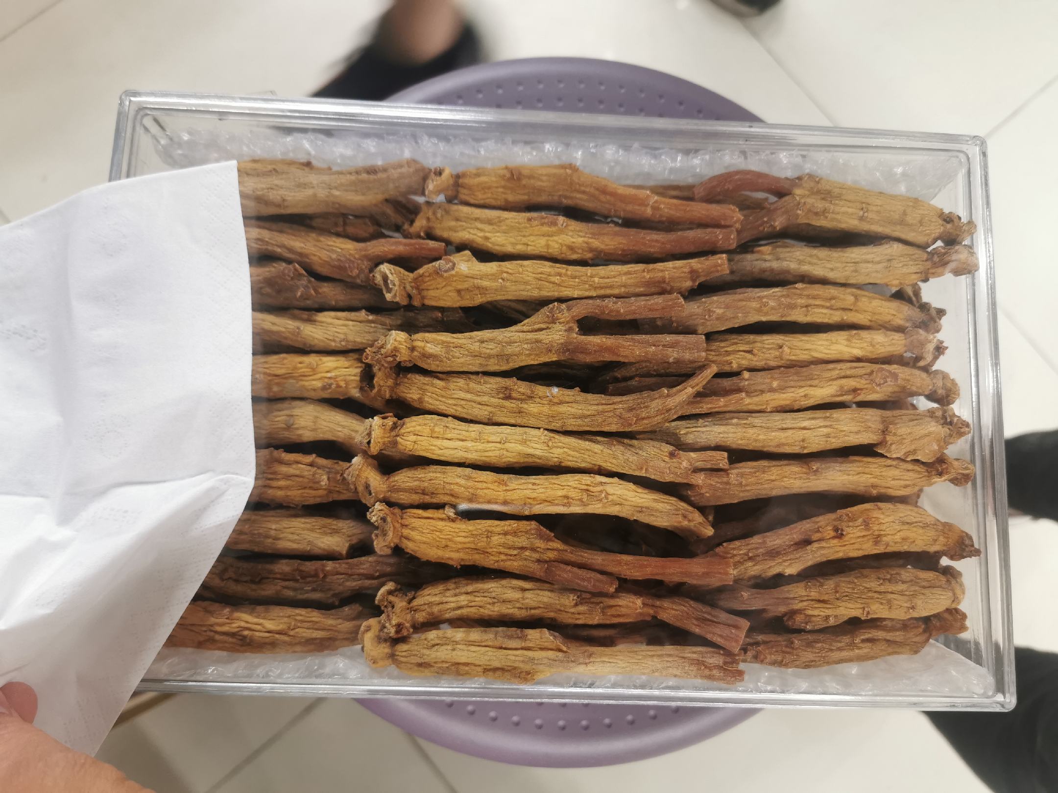 正官庄六年根高丽参产品展示图,包括切片、整参、礼盒装等形态 正官庄六年根高丽参产品展示图