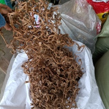 中药材，野生高梁姜，竹节风产地直营，现货出售