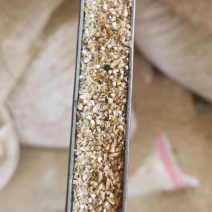 长年供应各种小麦，玉米杂质