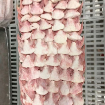 巴沙鱼鳍👍🏻👍🏻👍🏻👍🏻👍🏻👍🏻
