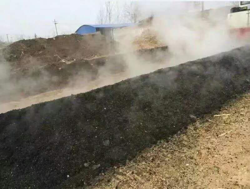一个正在进行二次翻堆的发酵堆,工人使用铁锹翻动深褐色的培养料,蒸汽从堆体内部冒出,显示高温发酵状态。旁边放置温湿度计,记录中心温度已达65℃ 平菇培养料发酵过程示意图