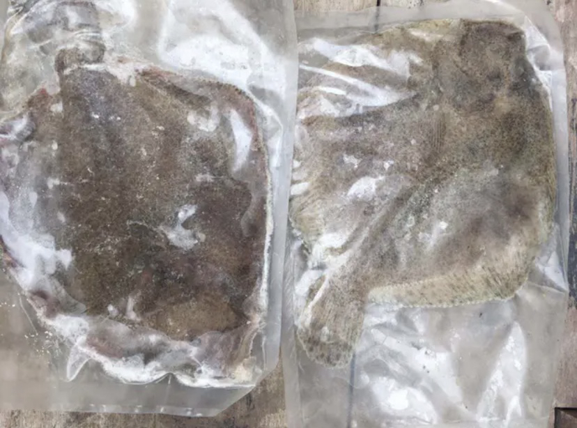 多宝鱼鱼体局部黑斑特写