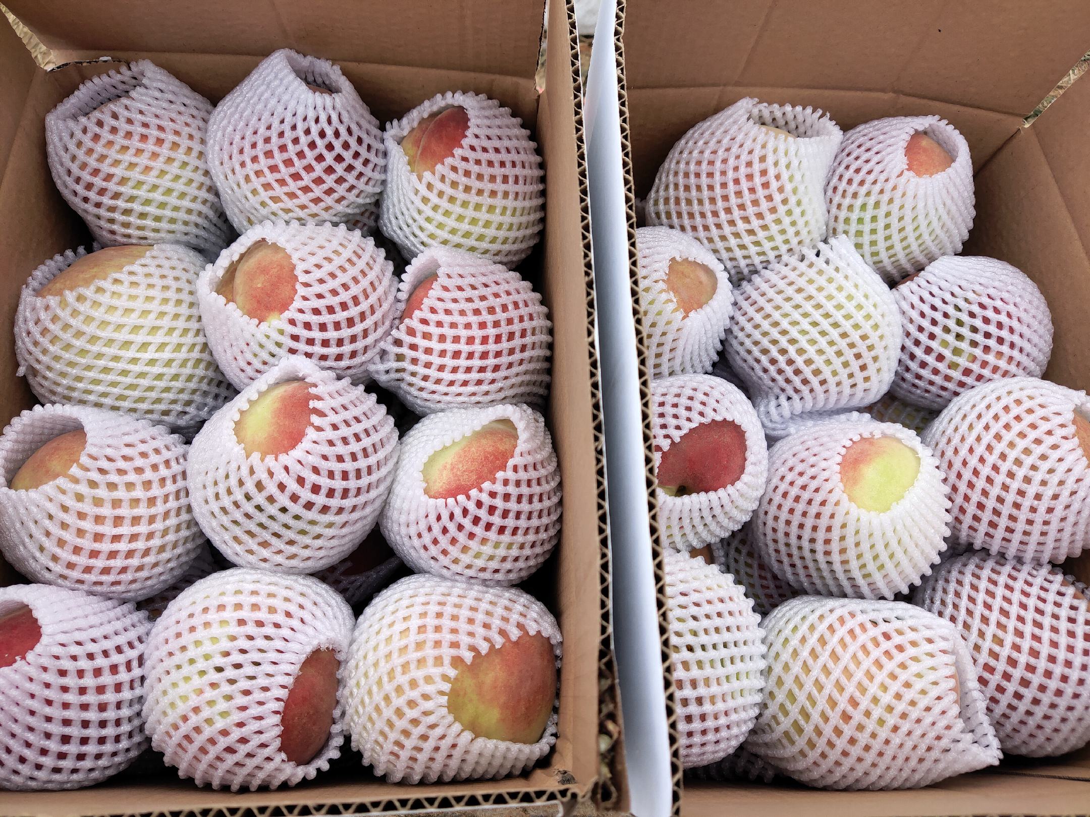 中华寿桃成品展示图