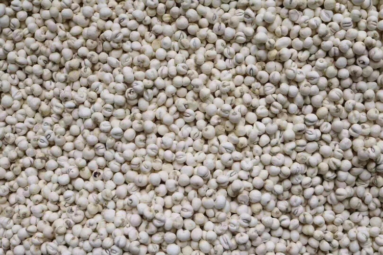 展示复方贝母片与止咳糖浆、西药止咳片等在成分、适应症、副作用等方面的对比图表 复方贝母片与其他止咳药对比表格