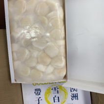 上海现货雪白澳带热销中，全国各地可发货