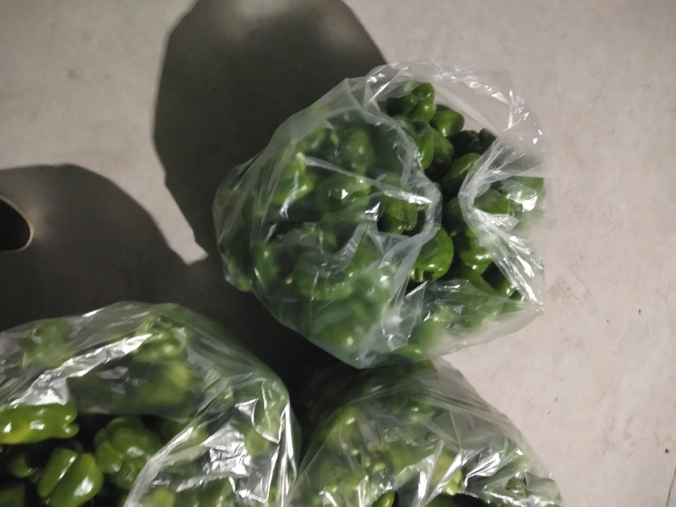 多株新鲜青色和红色尖椒均匀摊放在竹编簸箕中,置于阳光充足的窗台边自然风干,背景有厨房纱窗和绿植,光线柔和明亮 新鲜青红尖椒平铺在竹筛上晾晒