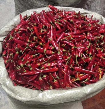 贵州朝天椒艳椒香辣可口