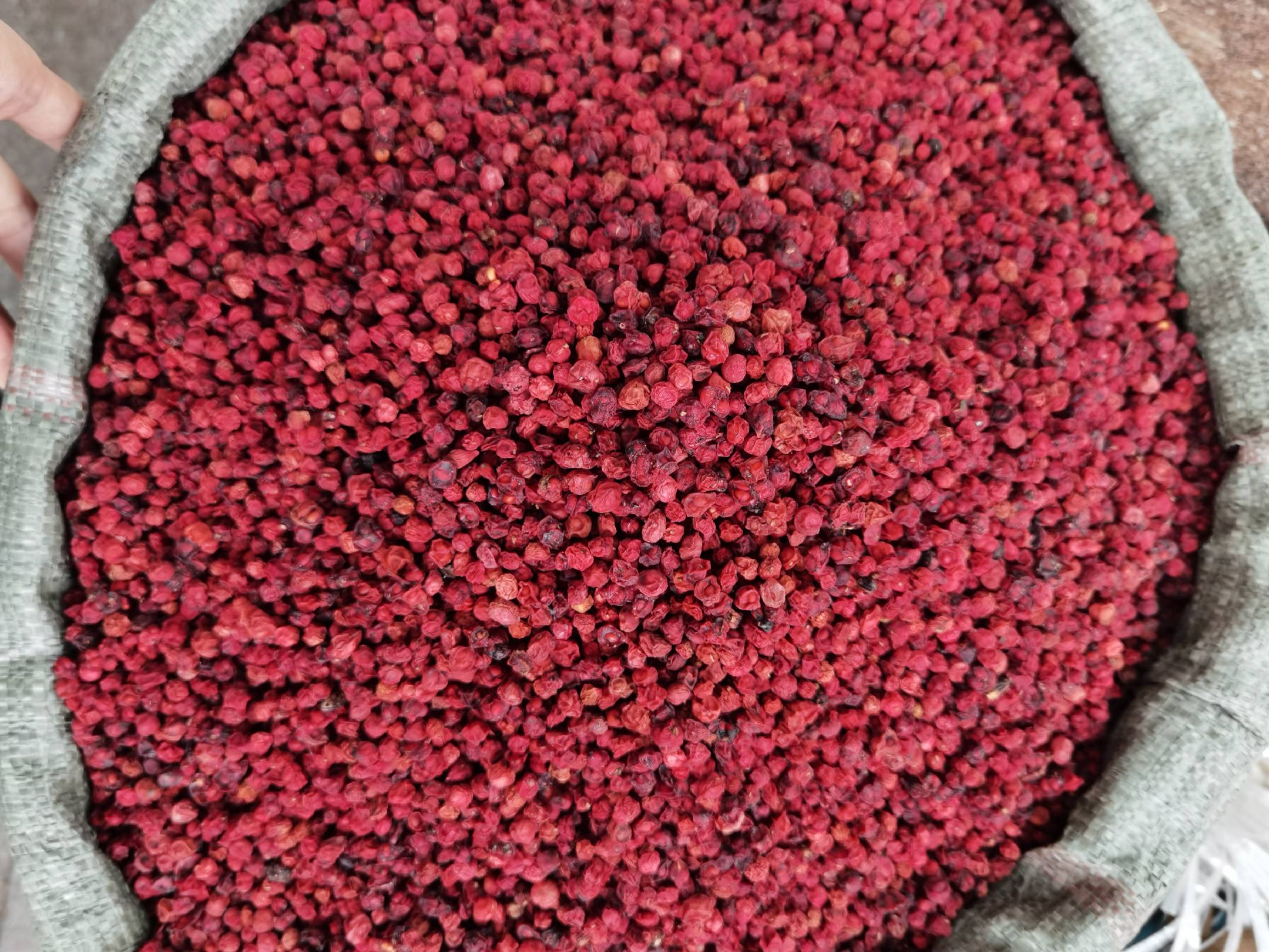 北五味子在中药材中的应用场景