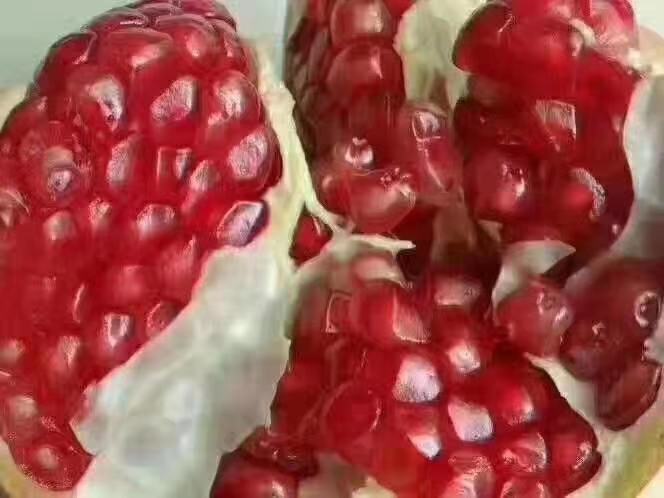 软籽石榴果肉特写