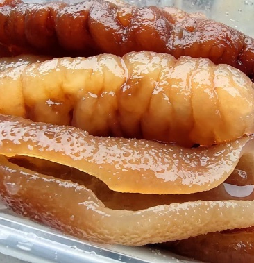 酒席海参 新鲜海参 黄玉海参 处理干净直接可以使用的海参