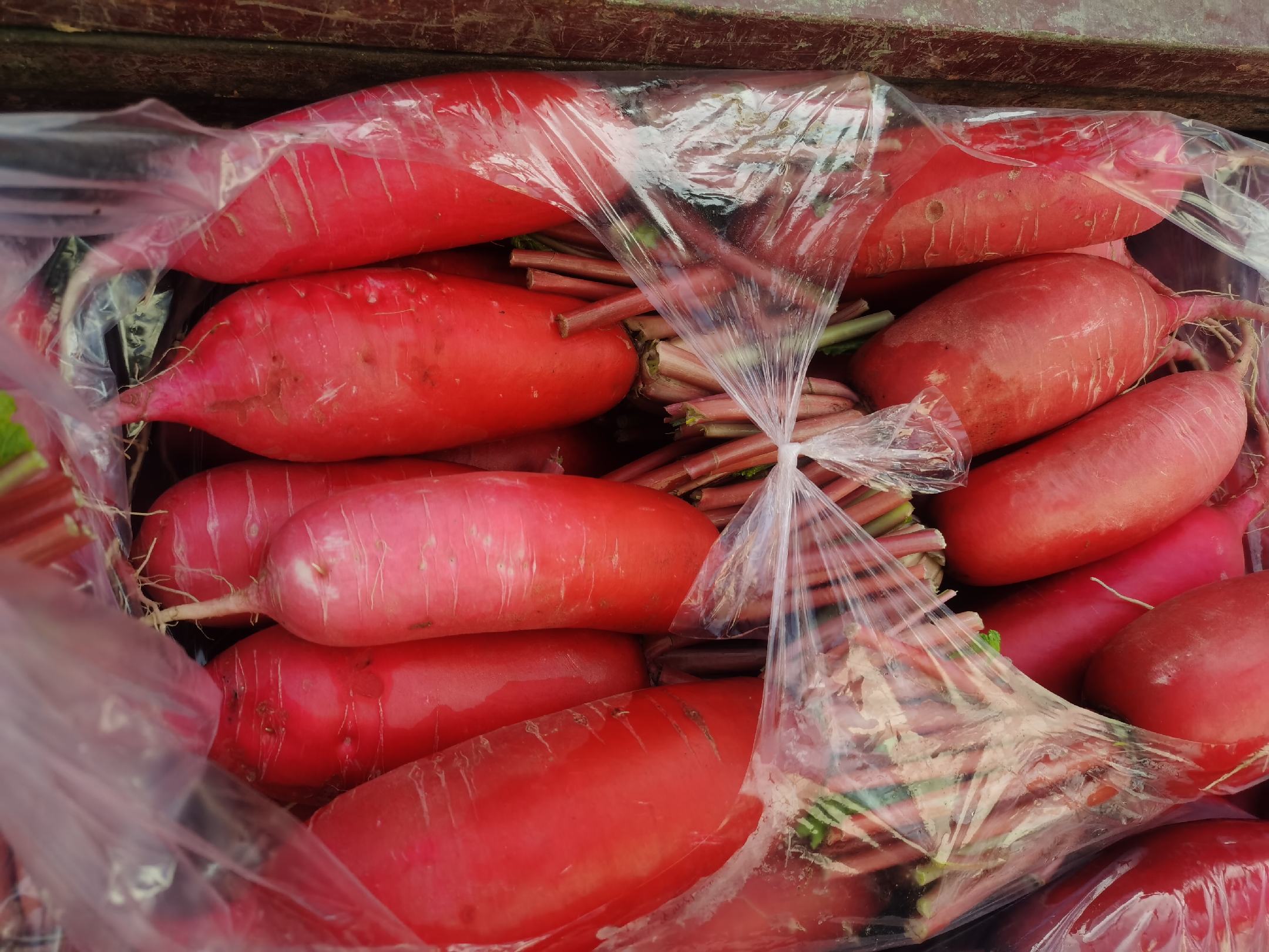 红皮萝卜包子包制过程