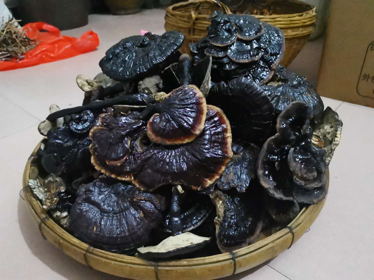 平铺摄影:左上角为棕黑带漆样光泽的黑灵芝切片(标注'破壁预处理'),右上角为蜷曲金黄的新会陈皮丝(标注'3年陈化'),左下角为饱满朱红的中宁枸杞(标注'头茬无硫'),右下角为浅黄带紫芽的昭通小黄姜薄片(标注'现切嫩茎'),所有原料置于亚麻布上,体现地理标志农产品溯源性 黑灵芝陈皮枸杞姜汤四组分原料图