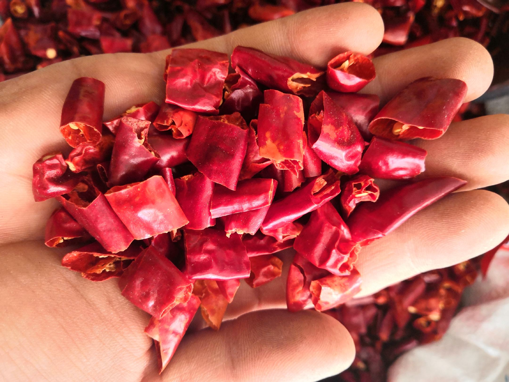 [辣椒段批发]二荆条干辣椒小米辣香辣小椒辣椒节价格14.