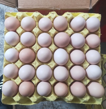 生鲜土鸡蛋红心广西土鸡蛋