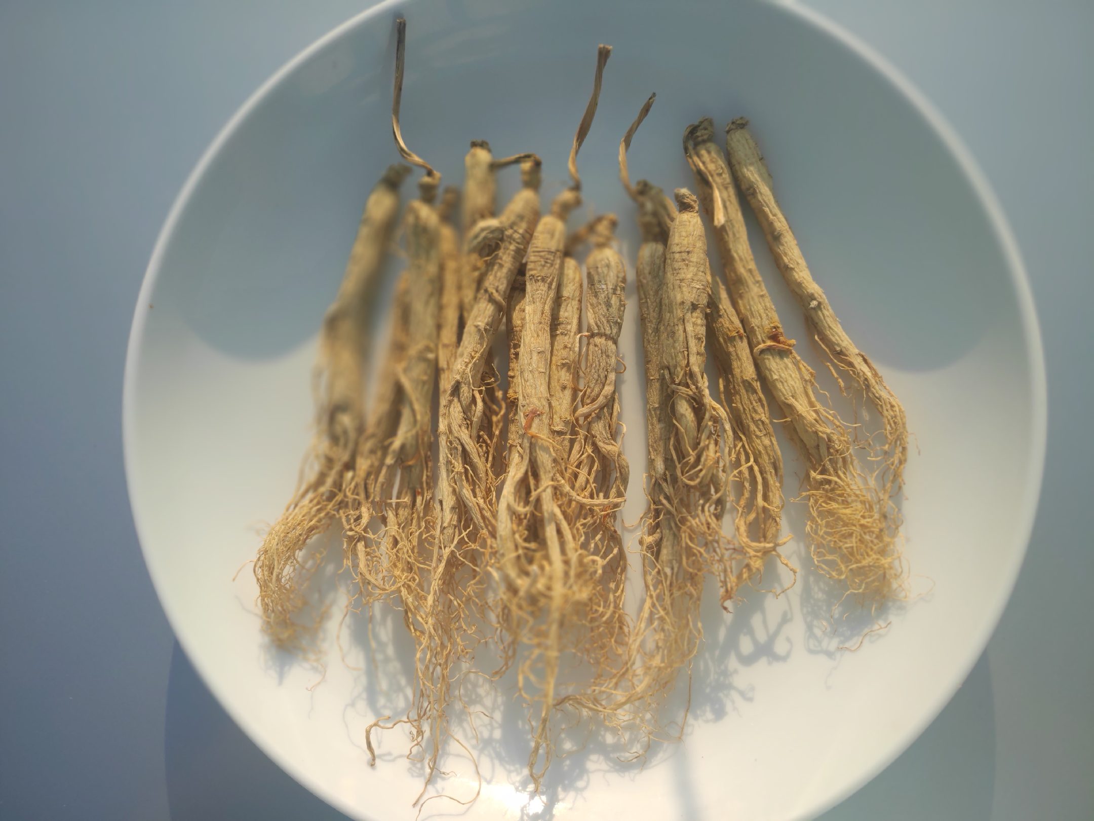 鲜人参与干人参对比图