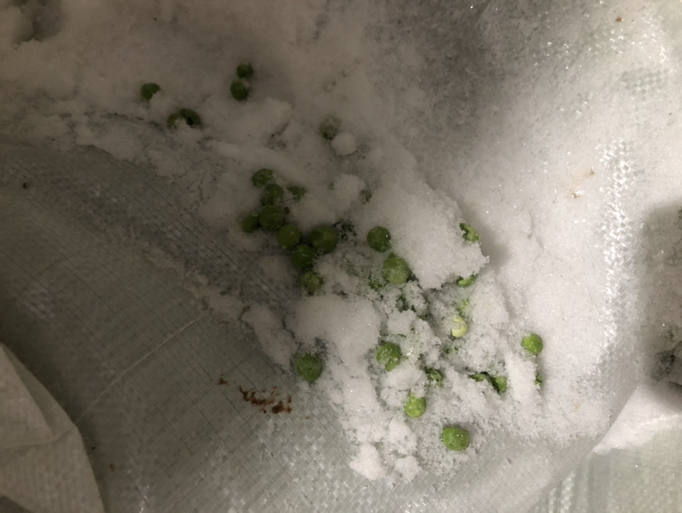 新鲜豌豆清洗后准备冷冻