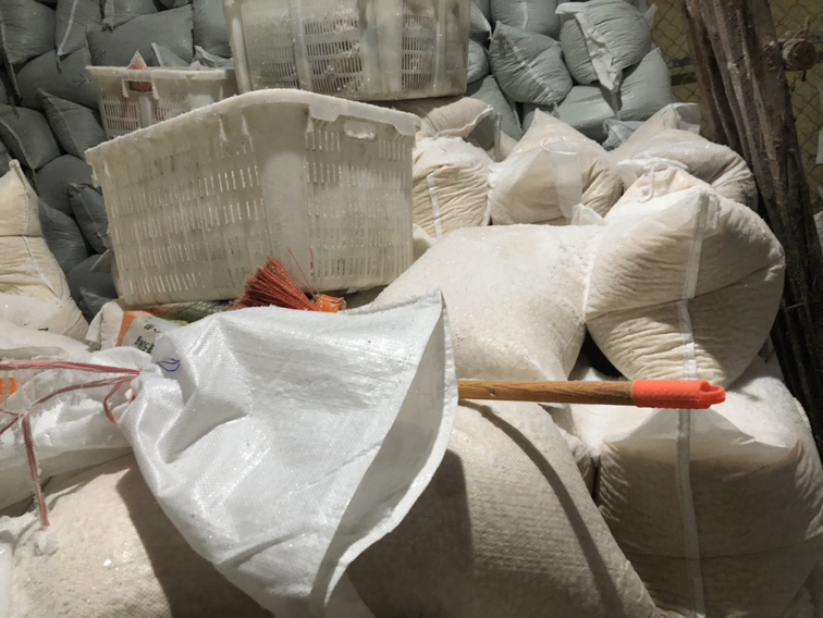 一张展示自走式毛豆采摘机内部构造的技术插图,包含发动机舱、传动系统、液压升降装置、摄像头模组、中央控制箱等关键部件标注,右侧附有采摘头局部放大图,显示柔性滚筒与感应探头细节,体现设备科技含量 自走式毛豆采摘机内部结构剖视图与核心部件特写