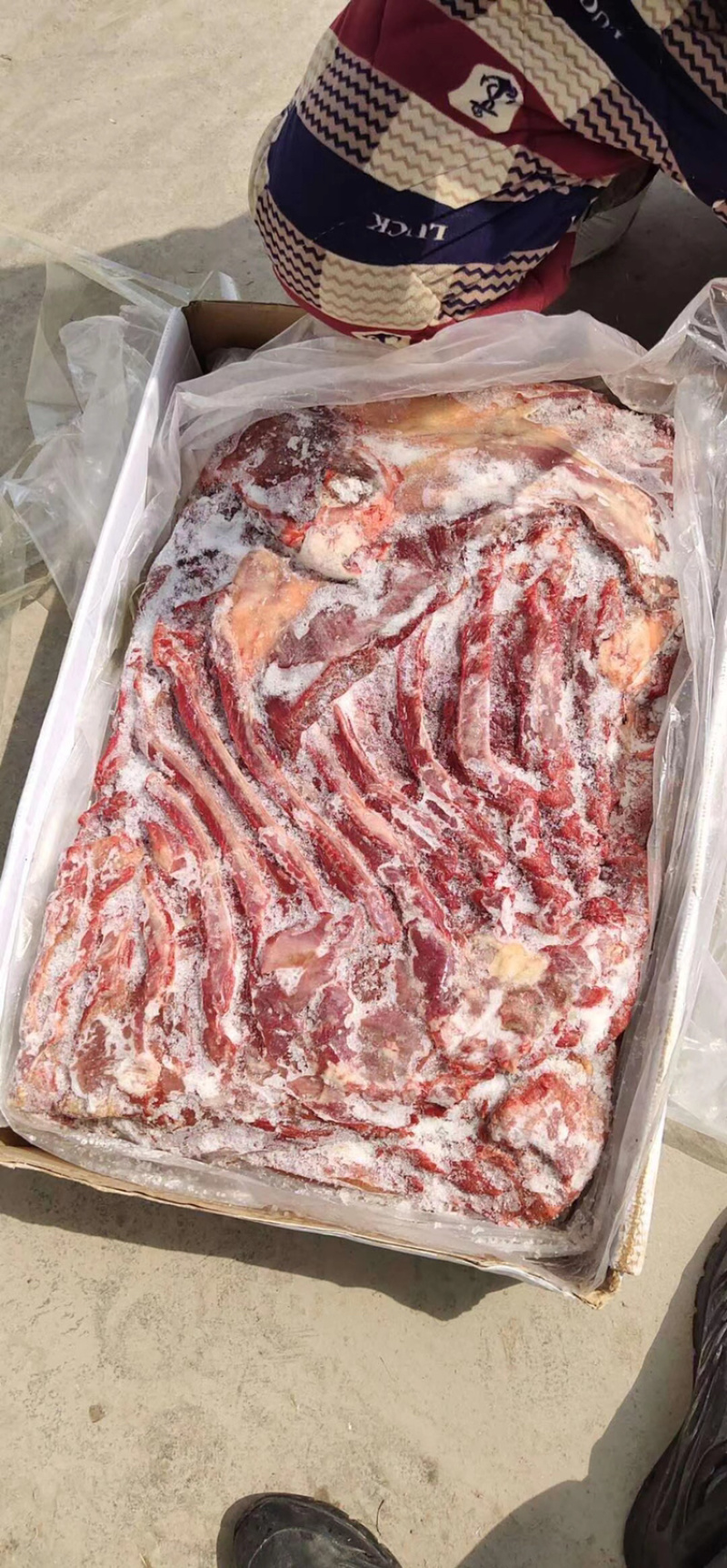 马肉,3576,明天到货,郑州提货