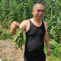 2021年新鲜狗儿豆狗爪豆龙爪豆猫豆狗古豆可批发新鲜带皮