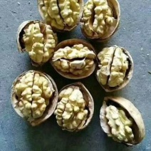 新货185纸皮核桃新疆胡桃特产农家无漂白