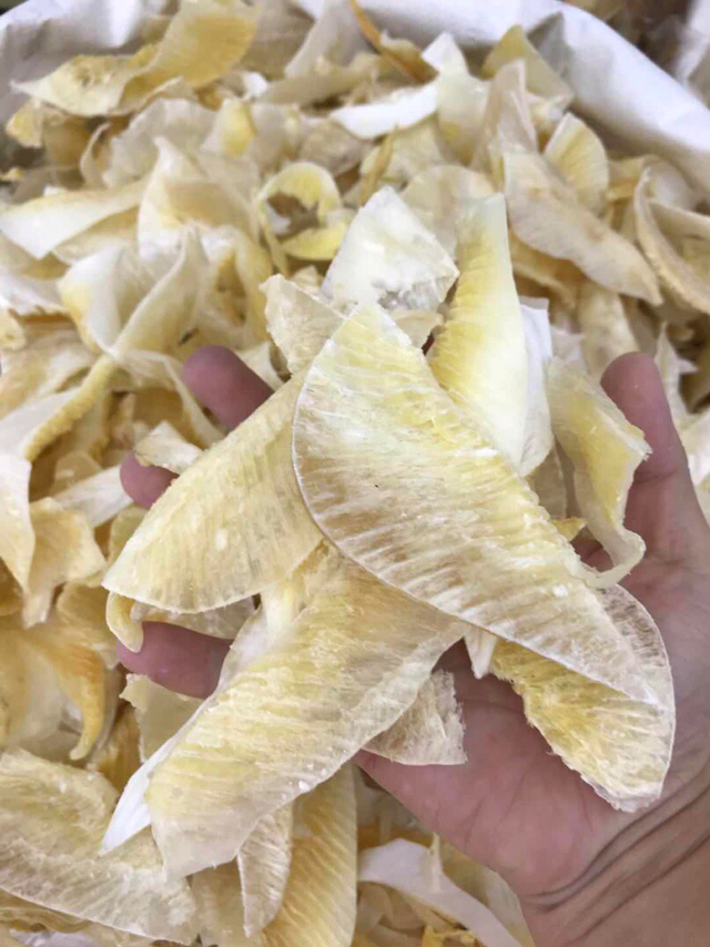鱼翅牙拣翅边新鲜胶质好营养丰富价格实惠餐饮酒店月子好食材