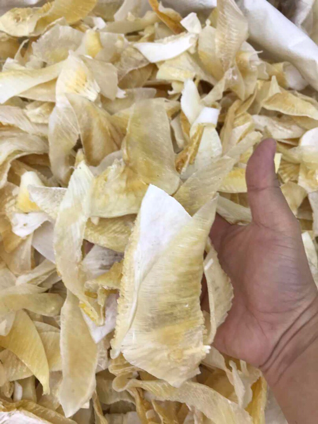 鱼翅牙拣翅边新鲜胶质好营养丰富价格实惠餐饮酒店月子好食材