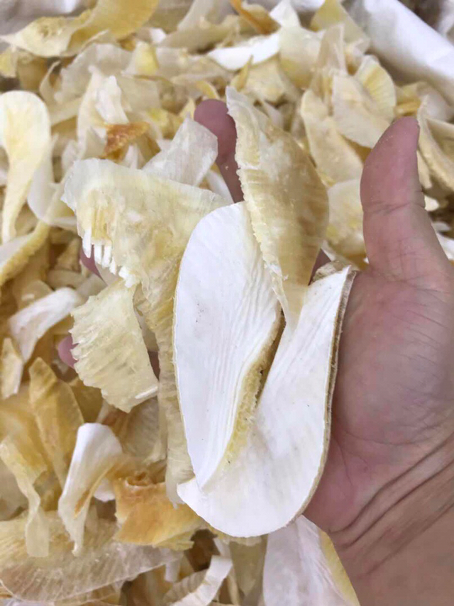 鱼翅牙拣翅边新鲜胶质好营养丰富价格实惠餐饮酒店月子好食材