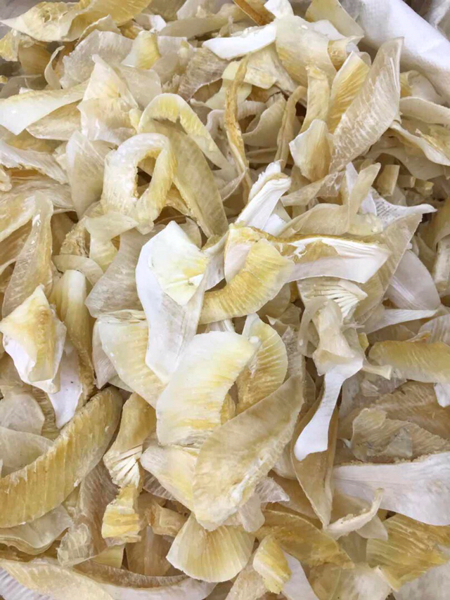 鱼翅牙拣翅边新鲜胶质好营养丰富价格实惠餐饮酒店月子好食材