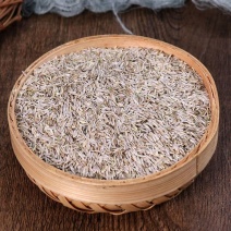 白巨胜胜菜籽生菜籽正品保证质量无理由退货退款
