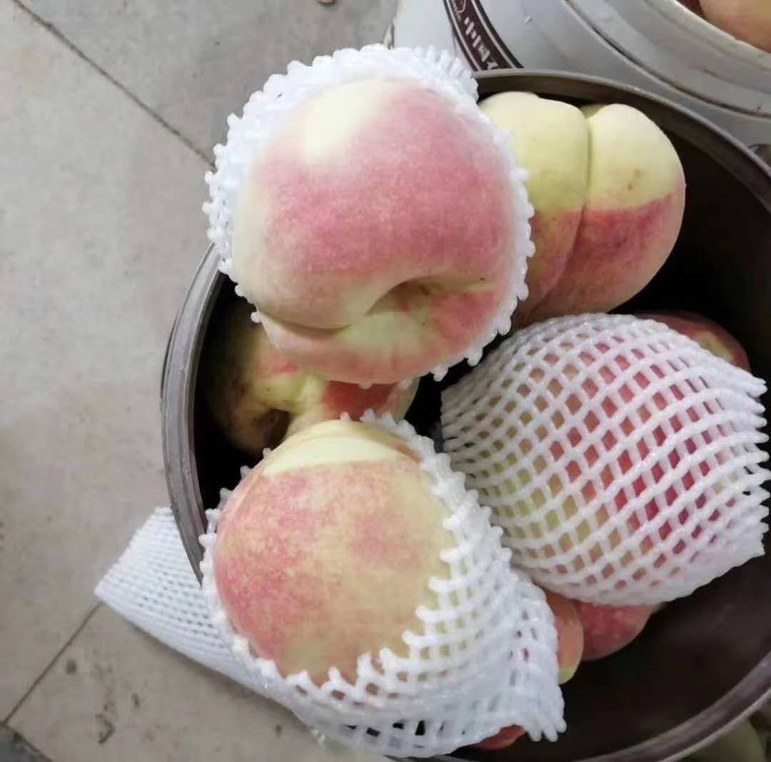 新鲜中华寿桃被去皮后切成均匀小丁,置于不锈钢炒锅中以中小火慢炒,锅边可见轻微蒸汽升腾,旁边摆放玻璃碗盛有已炒好的金黄色桃蓉馅料 中华寿桃切丁与炒制过程