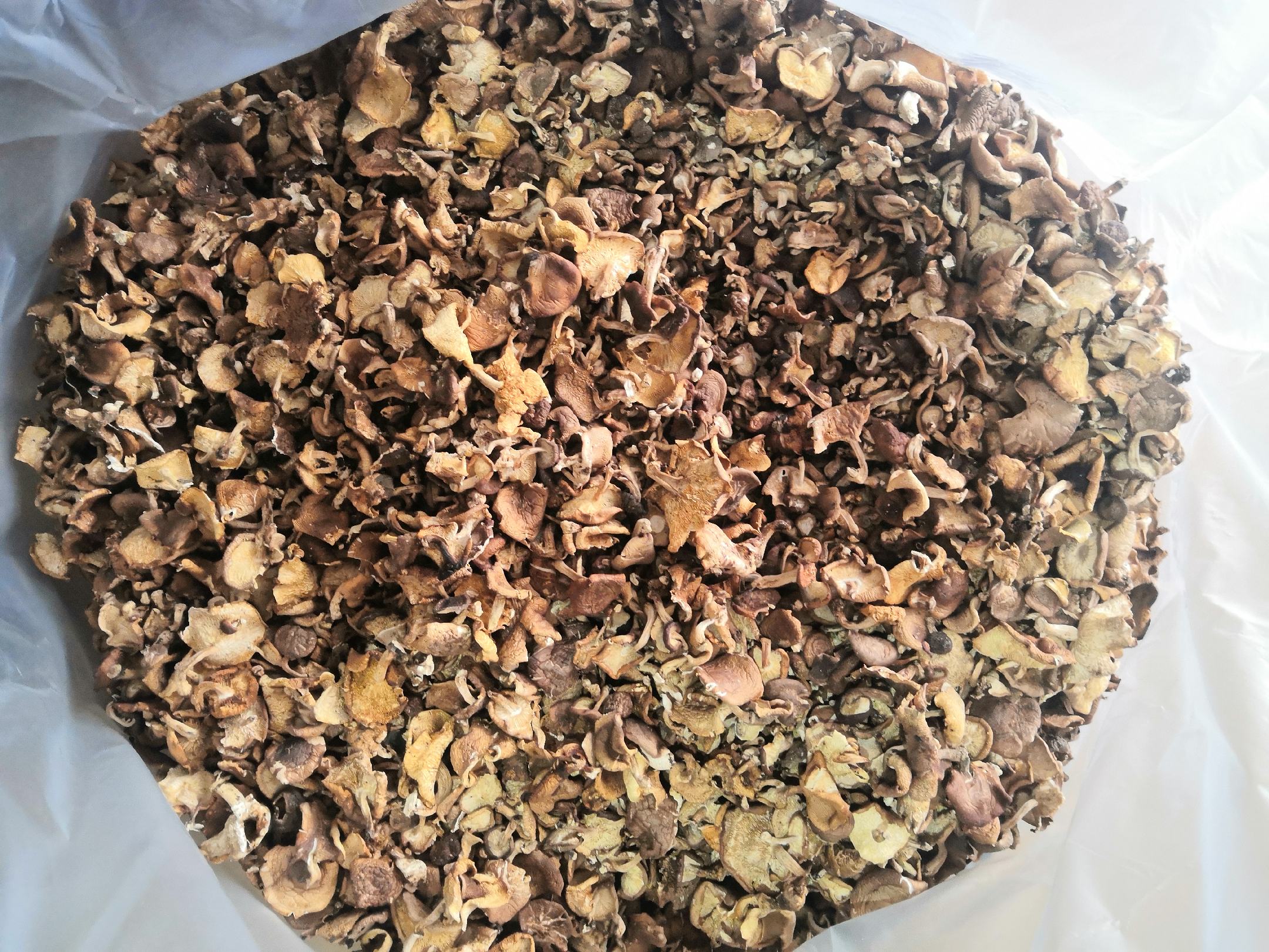 武香一号干香菇包装成品展示