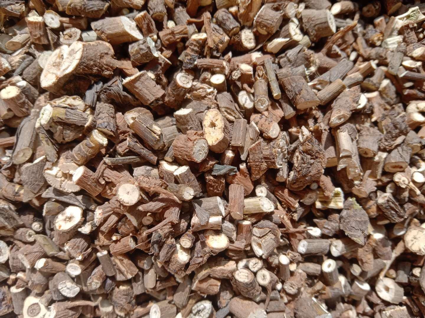 北柴胡饮片断面实物对比图