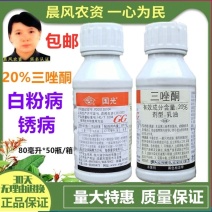 国光三唑酮白粉病杀菌剂多肉花卉月季粉锈宁锈病三锉酮花药
