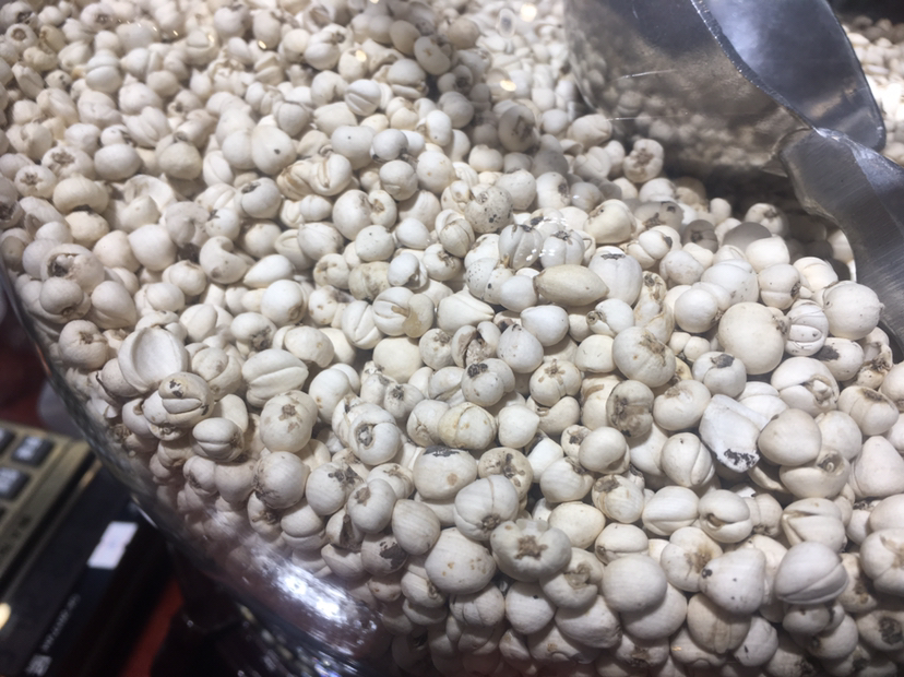 图片左侧为正品川贝母(Fritillaria cirrhosa):颗粒小、色白、结构紧闭、表面光滑;右侧为常见伪品或低质品:包括大粒梭砂贝母(虎皮斑明显)、染色贝母、淀粉压制品。标注关键鉴别点:大小、颜色、纹理、断面结构 川贝母真伪鉴别对比图
