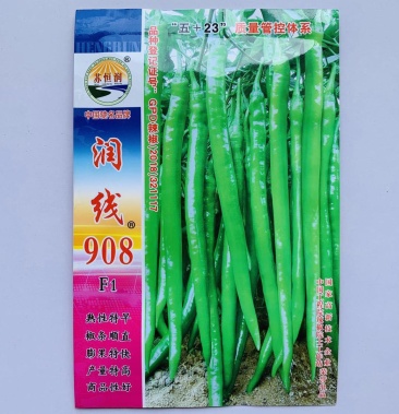 升级版 润线908线椒种子 辣椒早熟椒条顺直味香辣高产