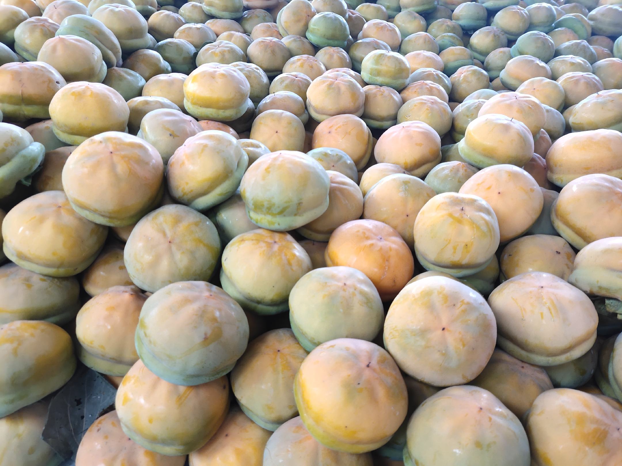 展示磨盘柿与苹果、梨等常见水果并列摆放,突出其独特的扁圆形外观与鲜艳颜色 磨盘柿与其他水果对比图