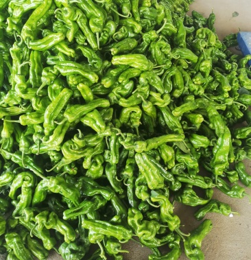 枣庄万亩辣椒,薄皮椒