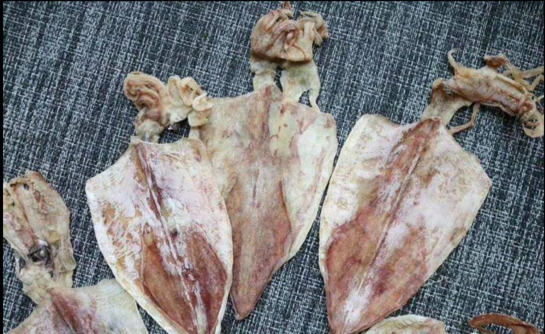泡发完成的鱿鱼