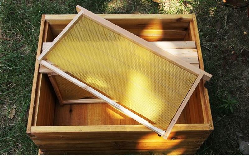 中蜂意蜂巢础带框巢框成品杉木巢脾10片装蜂蜡蜂箱全套包邮