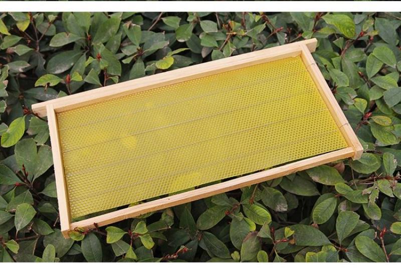 中蜂意蜂巢础带框巢框成品杉木巢脾10片装蜂蜡蜂箱全套包邮